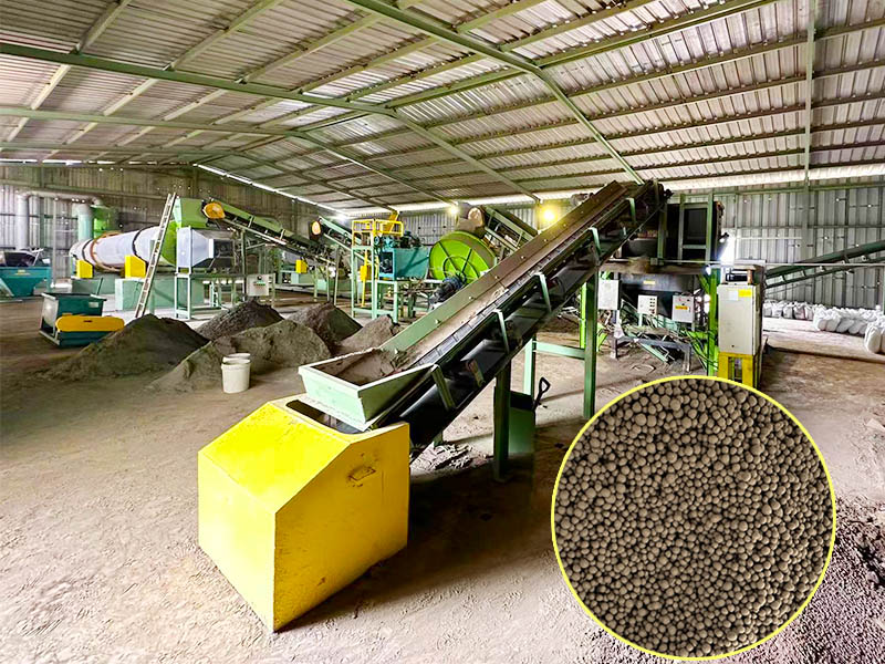 Cat Litter Granulation Production Line