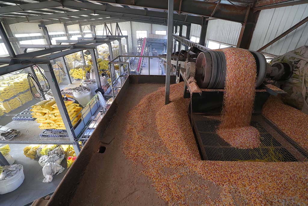 fertilizer plant cost